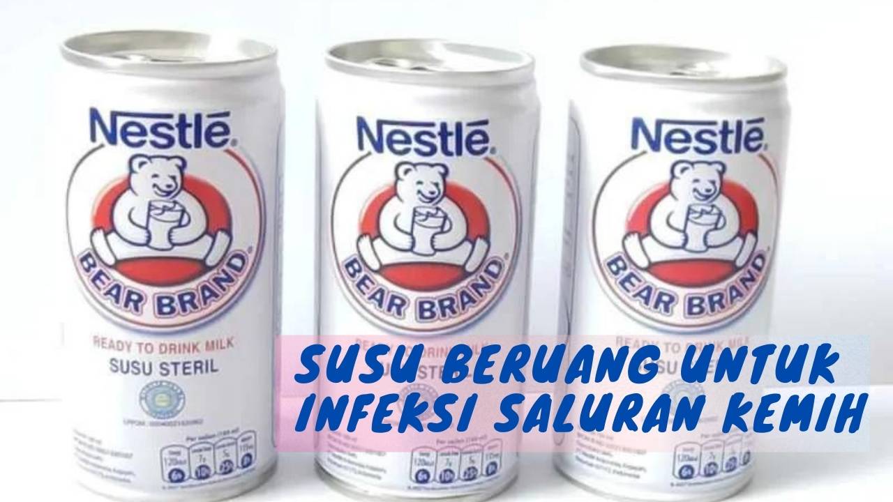 susu beruang untuk infeksi saluran kencing