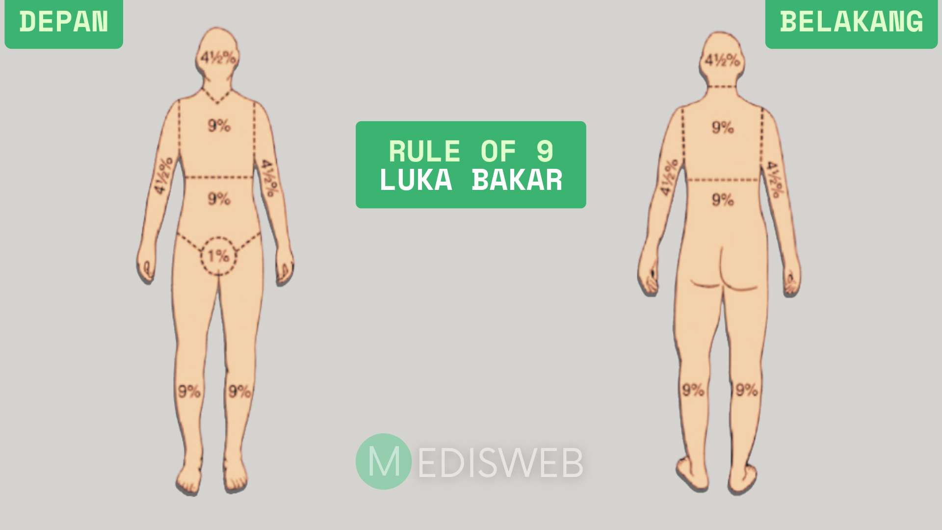persentase rule of nine luka bakar